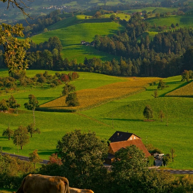Farming