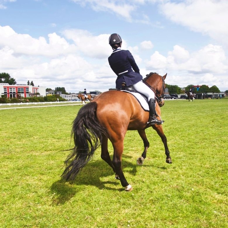 Equestrian