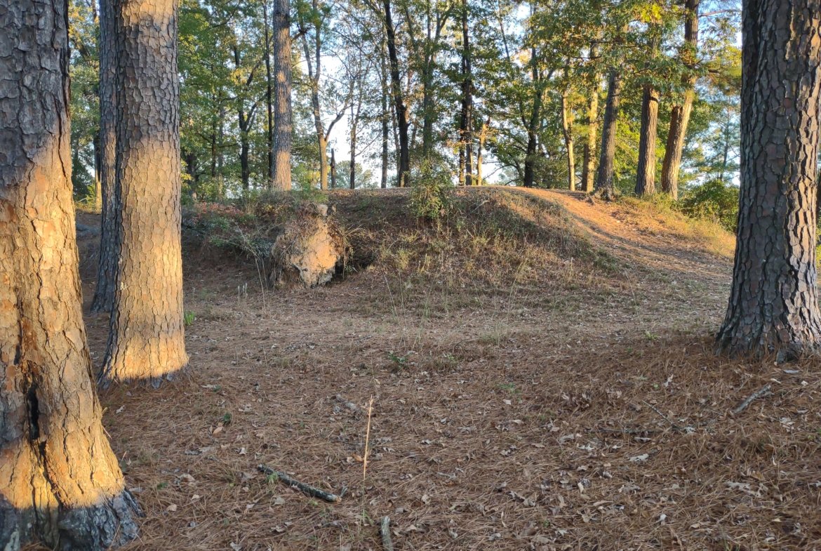 Lot for Vehicle Storage — Near Downtown Camden & the Ouachita River