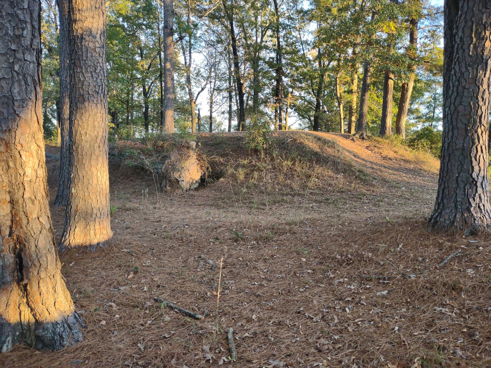 camden-fort-southerland Lot for Vehicle Storage — Near Downtown Camden & the Ouachita River