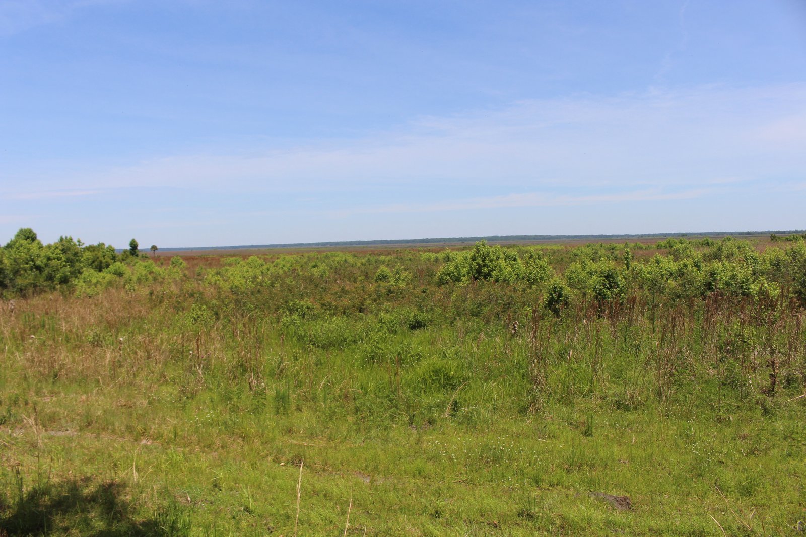 Lot for Contractor and Equipment Storage — Off SR-20, Hawthorne