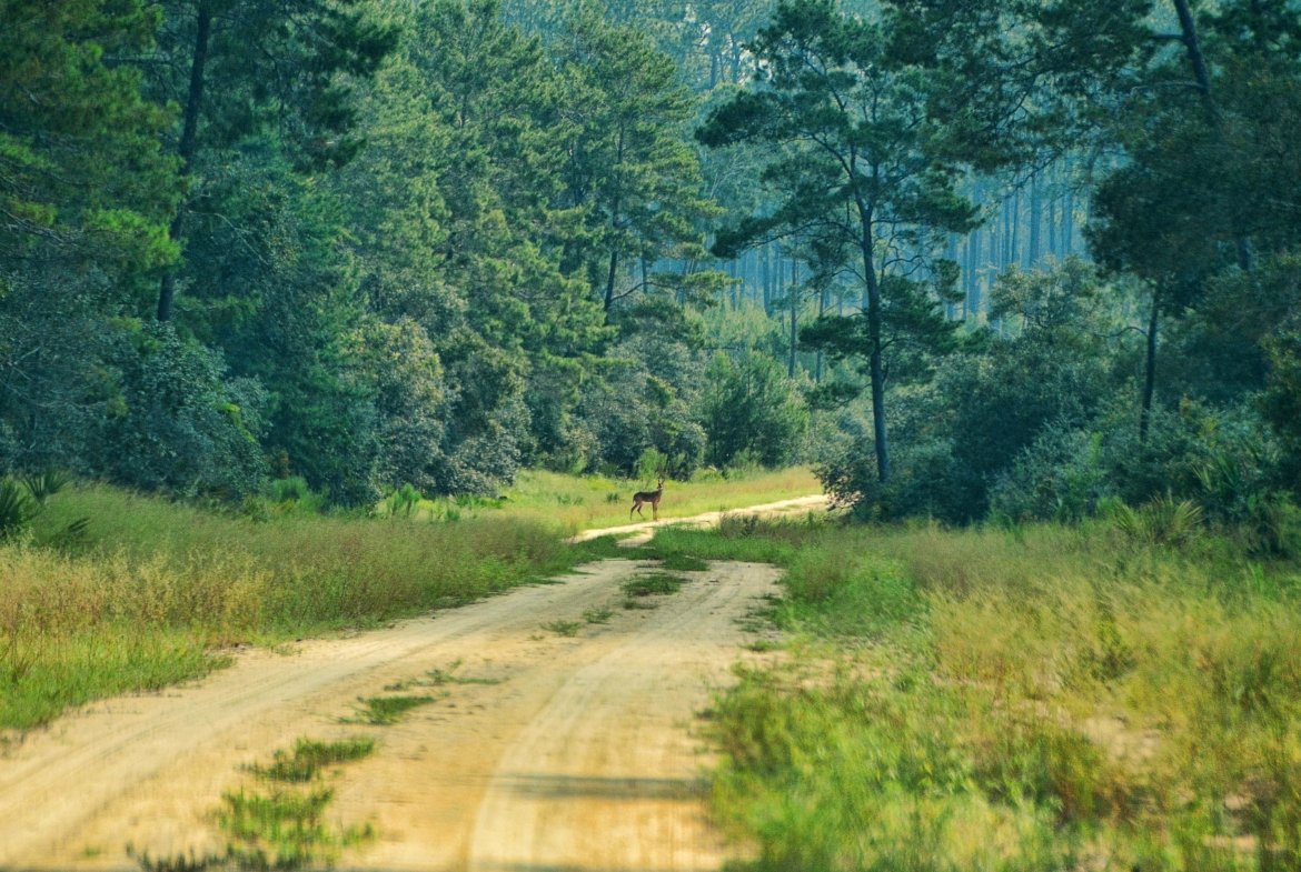 Lot for Fishing Access — Steps to Silver Lake