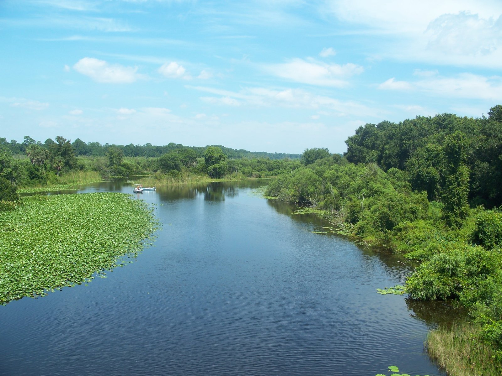 Lot for Fishing Access — Steps to Silver Lake