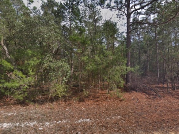 Lot for RV Parking — Near Lake Grandin