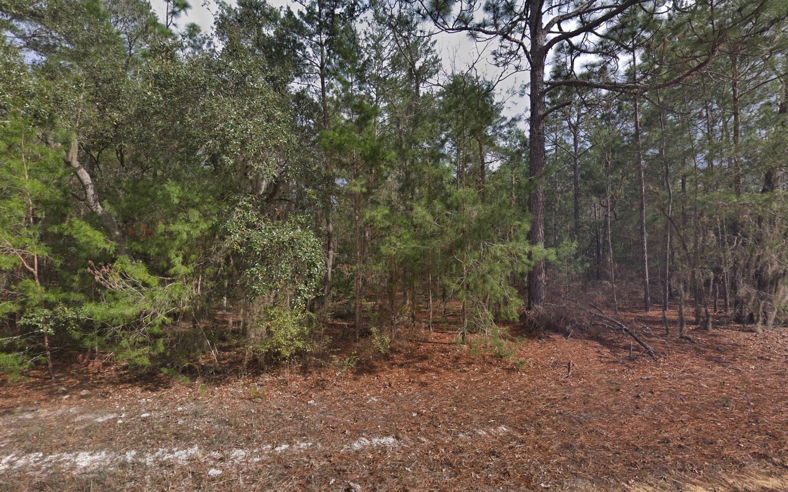 Lot for RV Parking — Near Lake Grandin