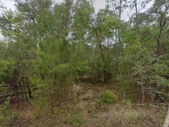 Lot for Camping — Near the St. Johns River