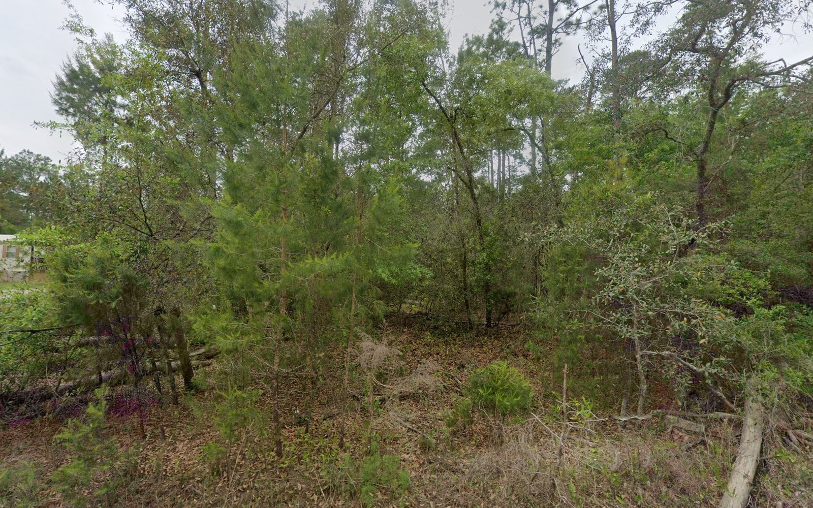 Lot for Camping — Near the St. Johns River
