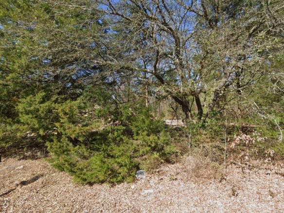 Lot for Vehicle Storage — Near Downtown Camden & the Ouachita River